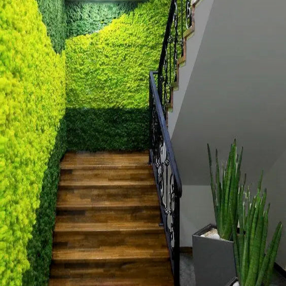Frameless Reindeer Moss Wall Panels Rectangle staircase colour combination DecorMania UK
